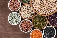 DAL
