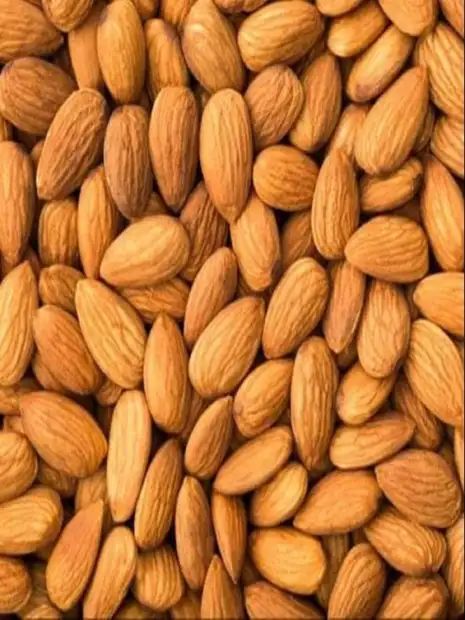 M/s Bhola Nath Ram Gopal Gallery Image