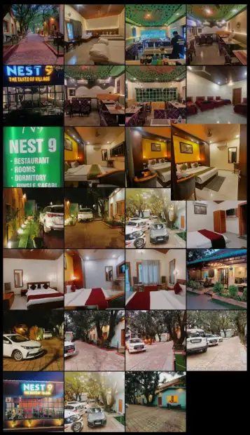 NEST9 Gallery Image