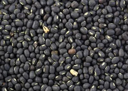 urad Dal sabut  - OM STORE