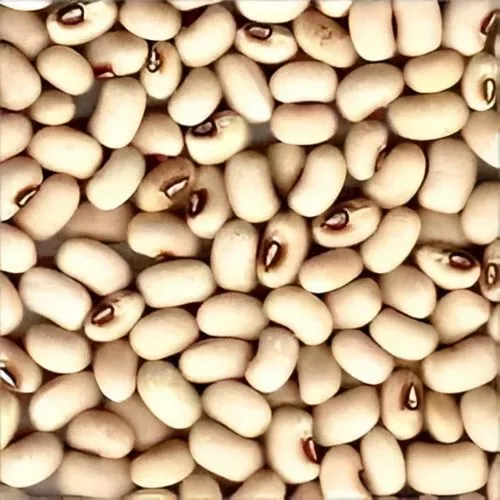 lobia Dal  - OM STORE