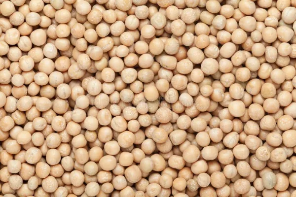 matar Dal  - OM STORE