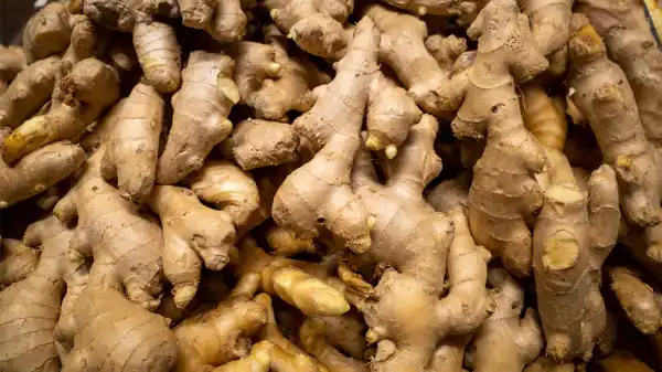 Ginger - OM STORE