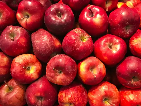 Apple - OM STORE