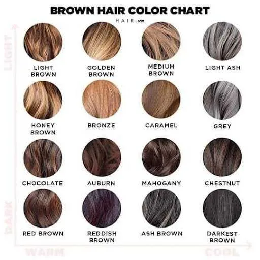Hair Colour - GOLD MAKEUP & BEAUTY STUDIO