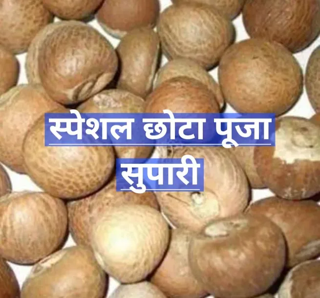  - PARV TRADERS