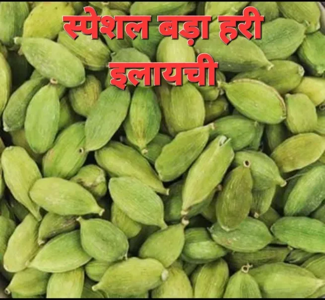  - PARV TRADERS
