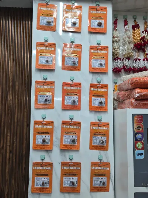  - PARV TRADERS