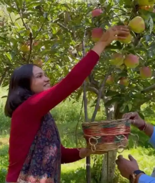 Apple garden 2 - VAISHNAVI PARADISE