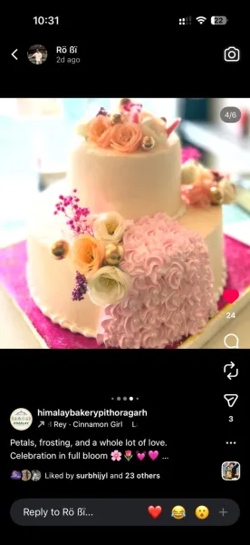 CAKE 12 - HIMALAY BAKERY & CONFECTIONERY