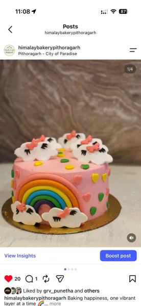 CAKE 9 - HIMALAY BAKERY & CONFECTIONERY