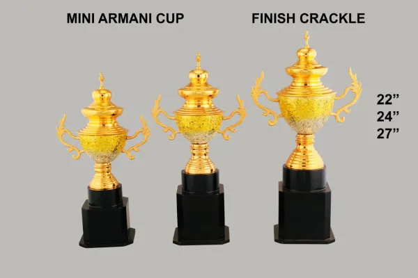 TROPHY 20 - BHANDARI SPORTS