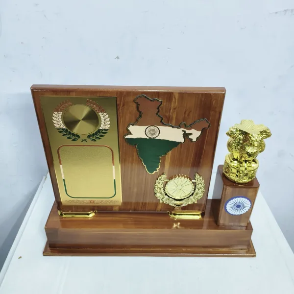 TROPHY 4 - PUNETHA SPORTS