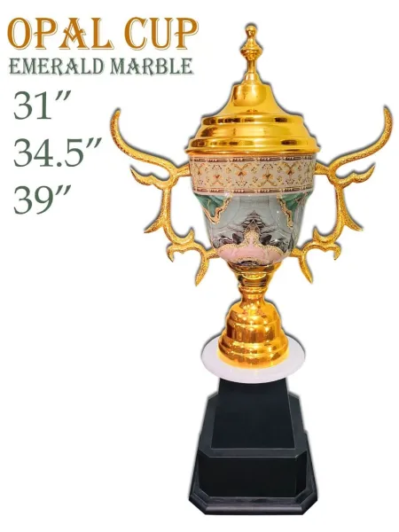 TROPHY 6 - PUNETHA SPORTS