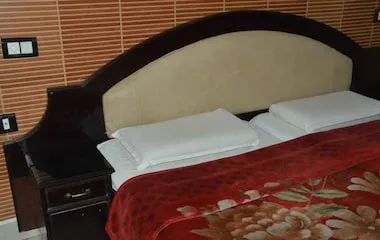 EXICUTIVE ROOM - HOTEL PUNETHA INN