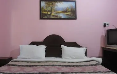 EXICUTIVE ROOM - HOTEL PUNETHA INN