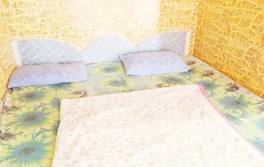Delux Room  - HOTEL PUNETHA INN