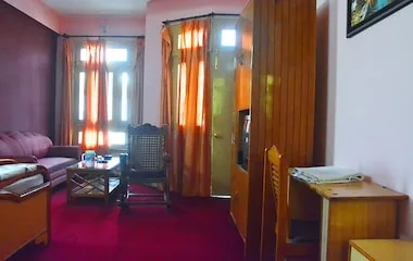 DELUX ROOM  - HOTEL PUNETHA INN