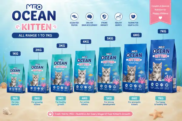 MEO OCEAN KITTEN DRY FOOD RANGE - RAJAN PET SHOP