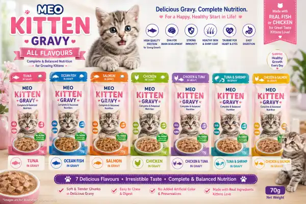 MEO KITTEN GRAVY ALL FLAVOUR - RAJAN PET SHOP