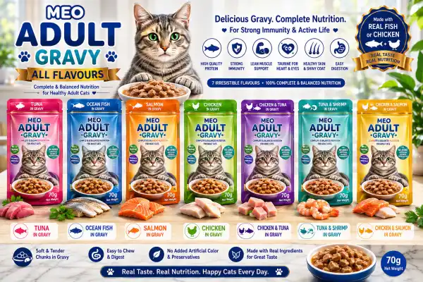 MEO ADULT GRAVY RANGE - RAJAN PET SHOP