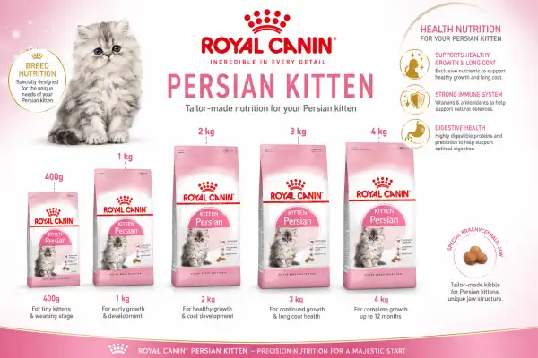 ROYAL CANIN PERSIAN KITTEN - RAJAN PET SHOP