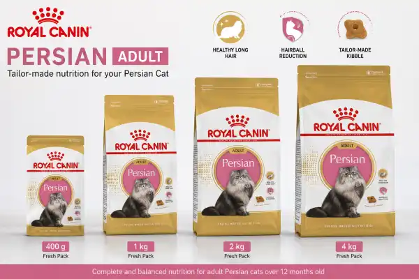 ROYAL CANIN PERSIAN ADULT ALL RANGE - RAJAN PET SHOP