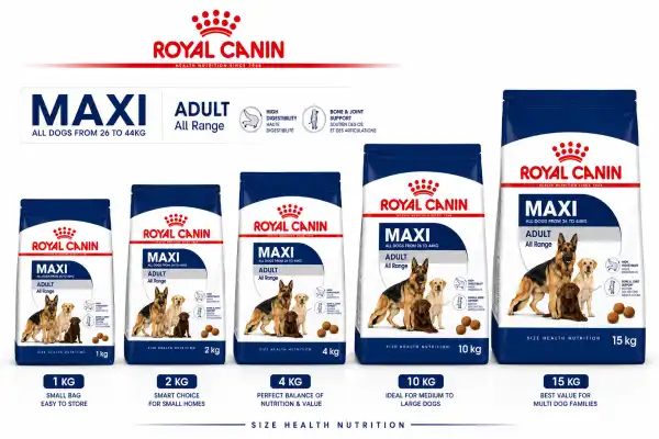 ROYAL CANIN MAXI DOG - RAJAN PET SHOP