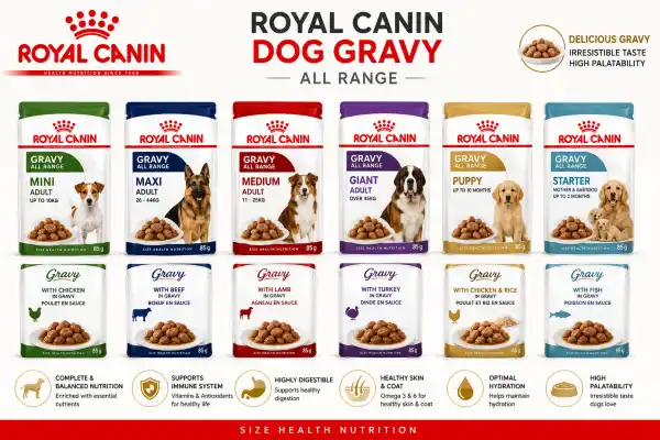 ROYAL CANIN DOG GRAVY  - RAJAN PET SHOP