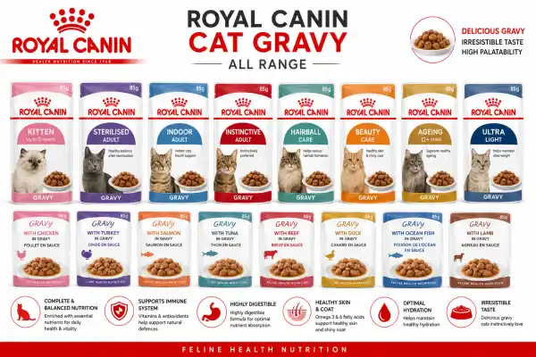 ROYAL CANIN CAT GRAVY - RAJAN PET SHOP