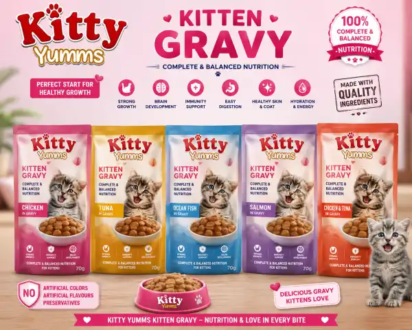 KITTEN GRAVY KITTY YUMMS - RAJAN PET SHOP