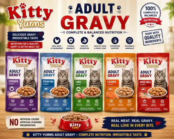 ADULT GRAVY KITTY YUMMS - RAJAN PET SHOP