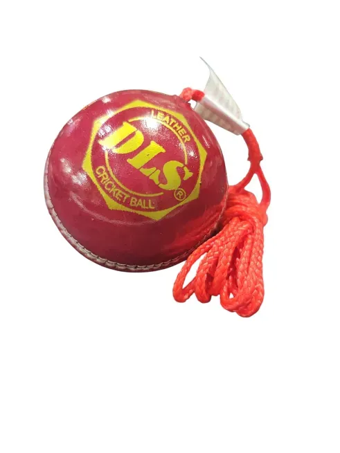  - DHAN LAXMI SPORTS