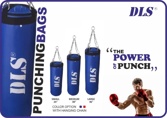  - DHAN LAXMI SPORTS