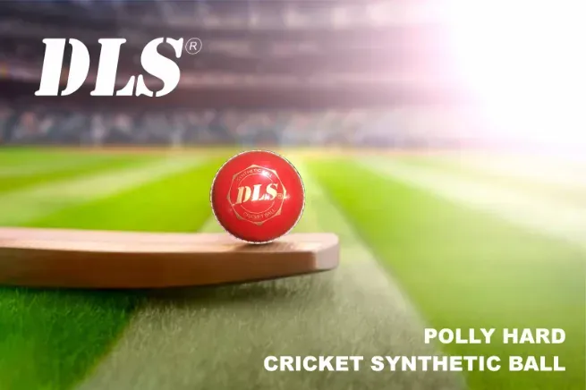  - DHAN LAXMI SPORTS