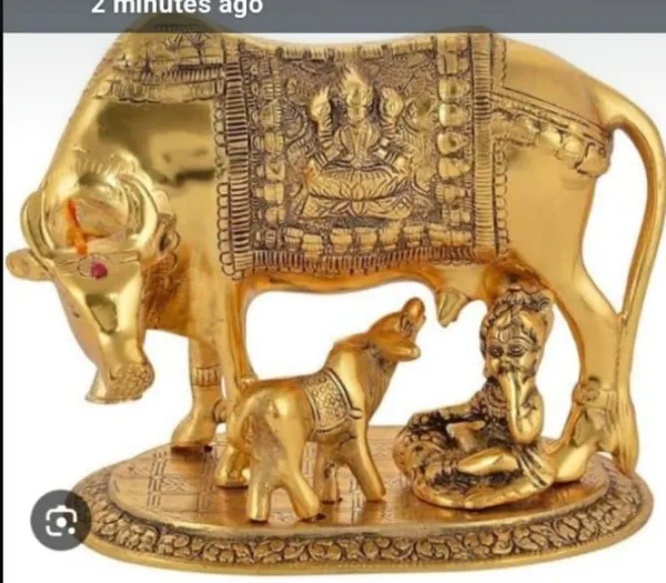  - VEER JEWELLERS