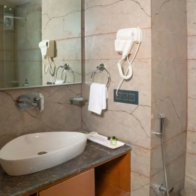 EXECUTIVE ROOM ( WITHOUT BALCONY) 2 - SUNITA ELITE