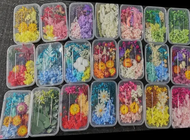 Dry flower  - GOODWILL TRADERS / GOODWILL PACKAGING WORKS