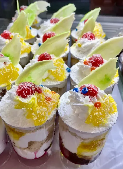  - KRISHNA BAKERS